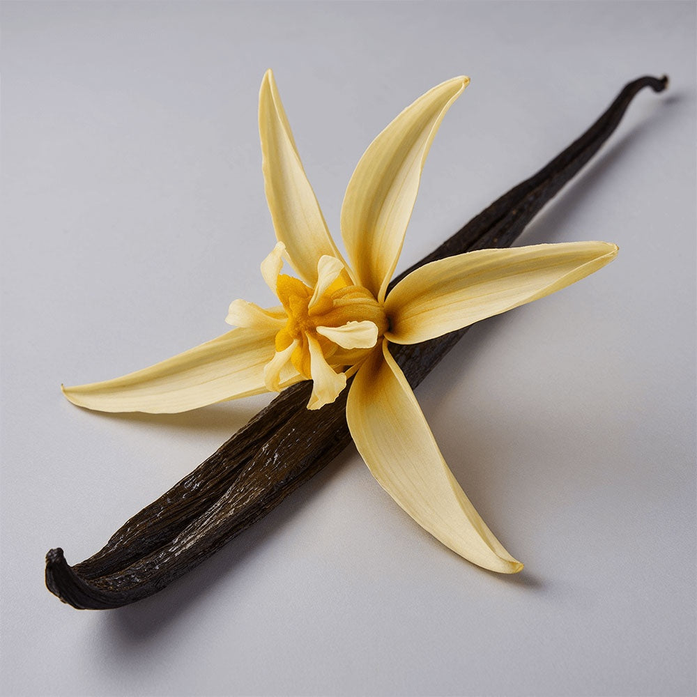 Smart Tallow Glow Whip